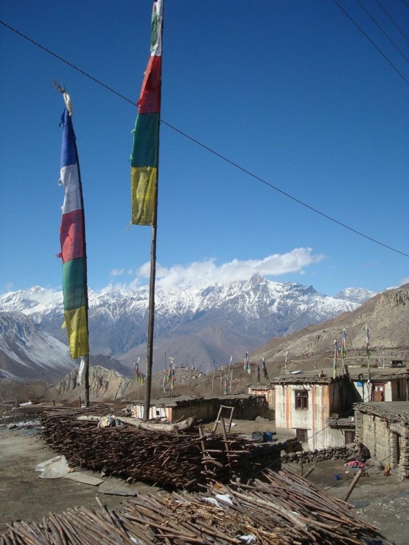 Tibetan Village x